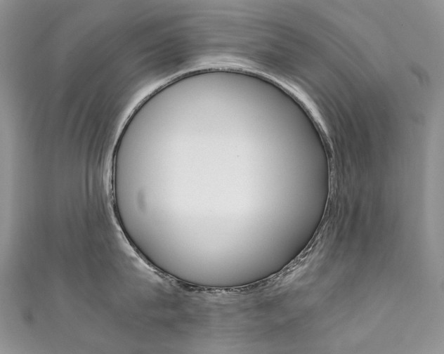 X0000111370815200907101015