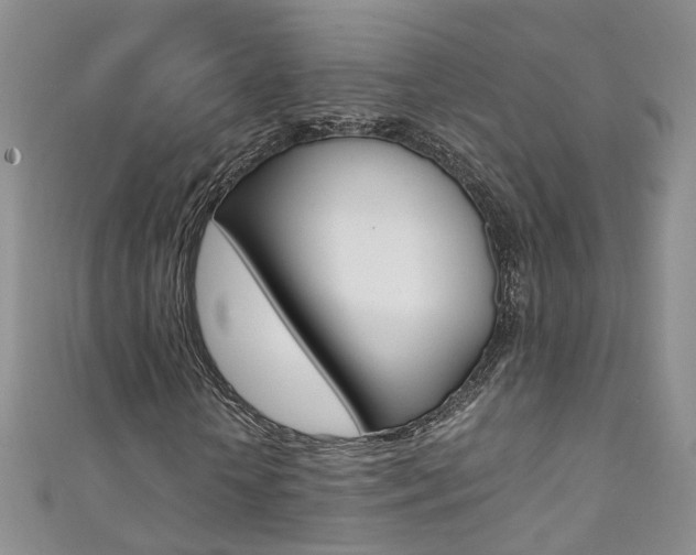 X0000111370818200907101015