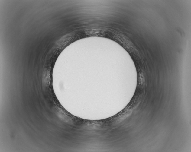 X0000111370820200907101015
