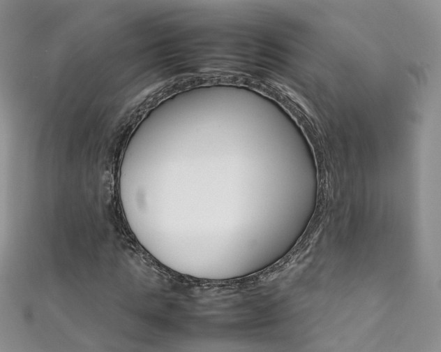 X0000111370821200907101015