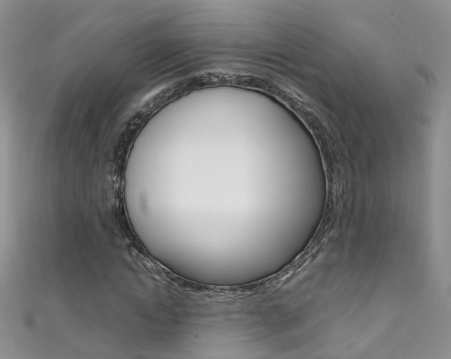X0000111370822200907101015