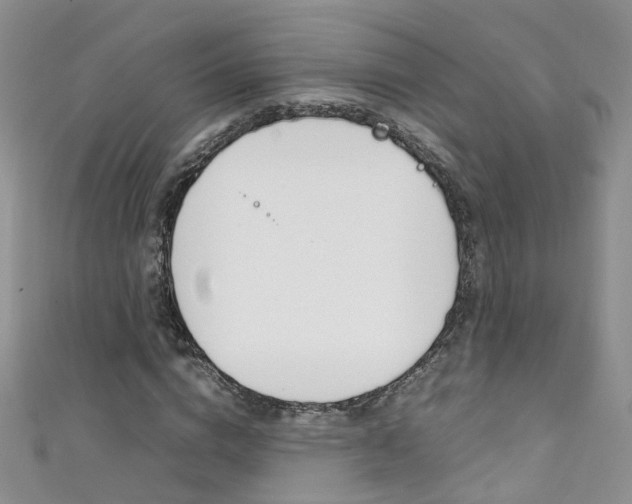 X0000111370824200907101015