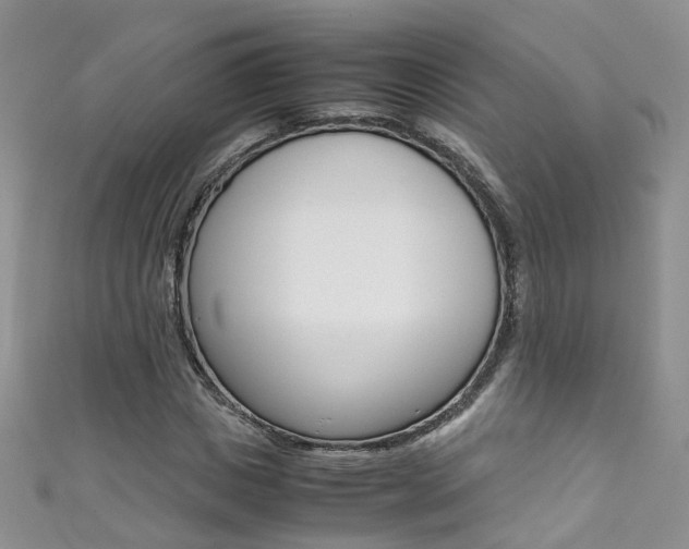 X0000111370825200907101015