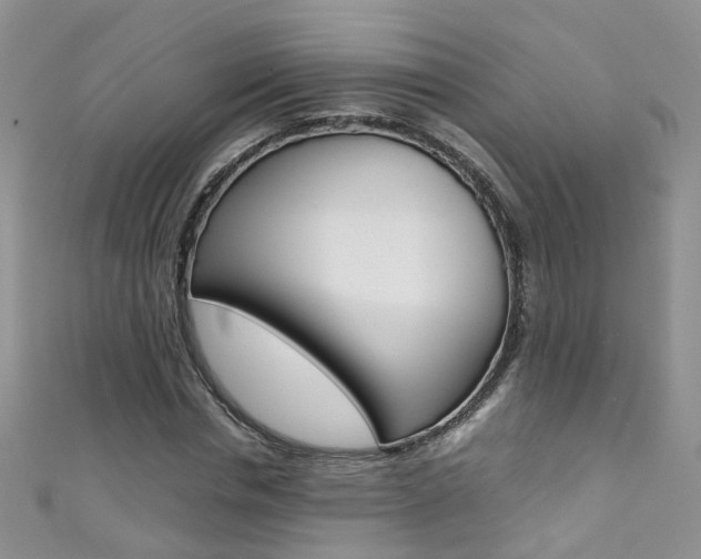 X0000111370826200907101015