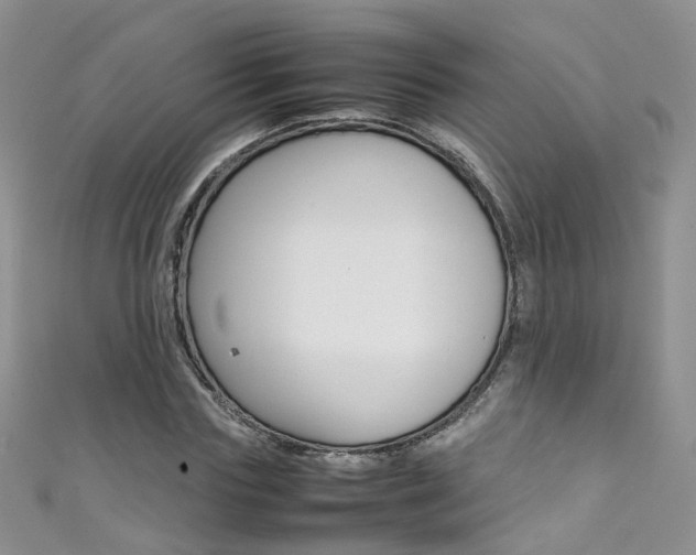 X0000111370827200907101015