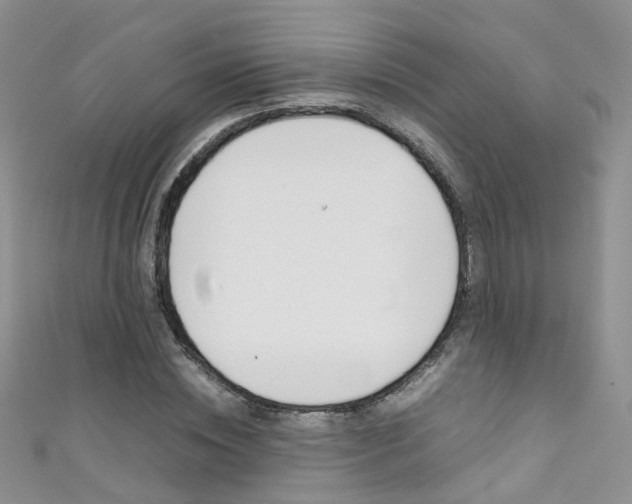 X0000111370828200907101015