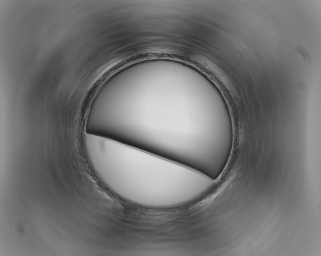 X0000111370829200907101015
