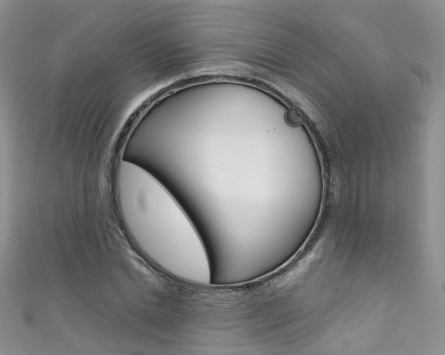 X0000111370830200907101015