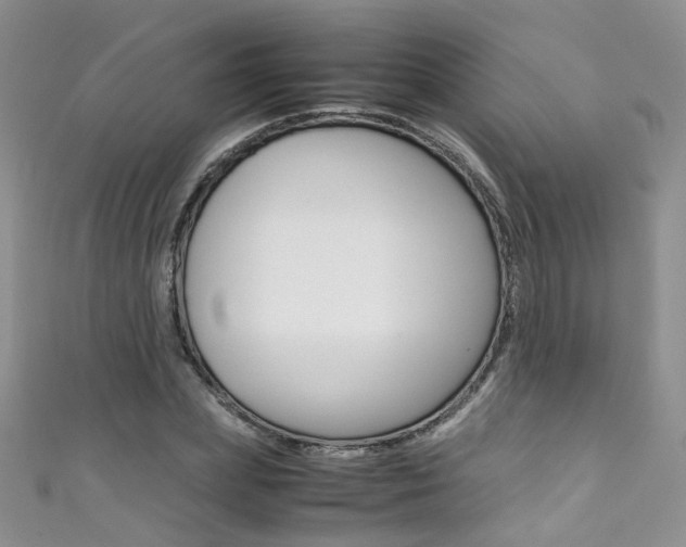 X0000111370831200907101015