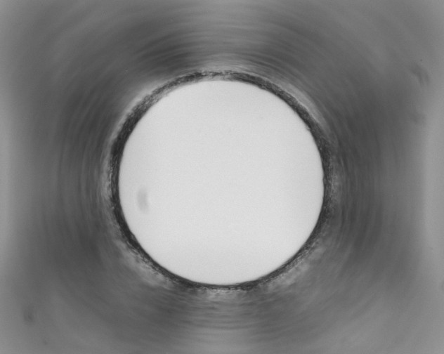 X0000111370832200907101015