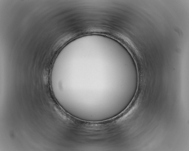 X0000111370833200907101015