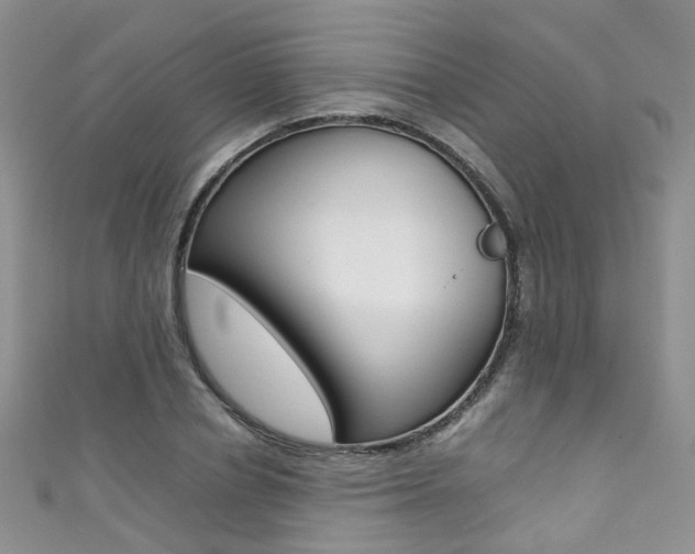 X0000111370834200907101015
