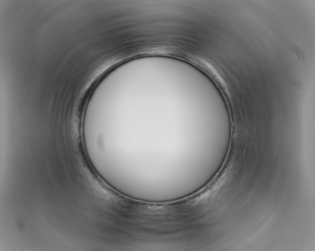 X0000111370835200907101015