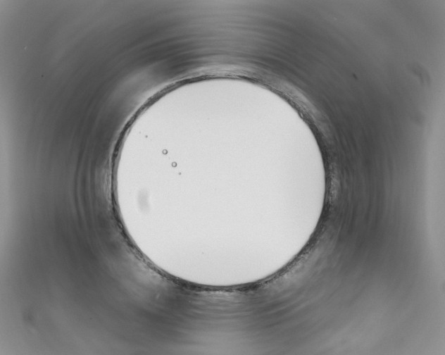 X0000111370836200907101015