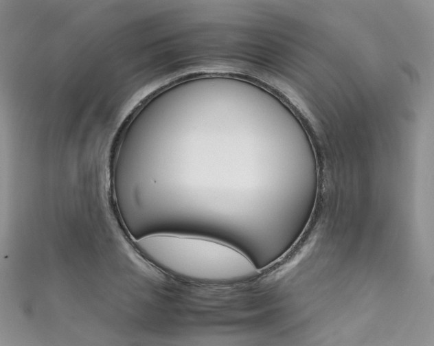 X0000111370837200907101015