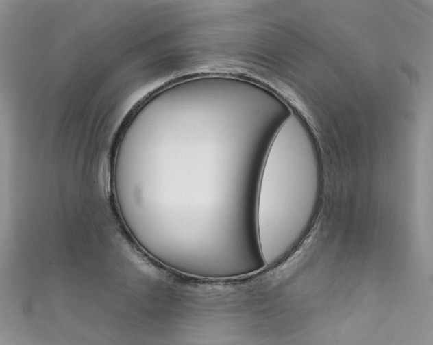 X0000111370838200907101015