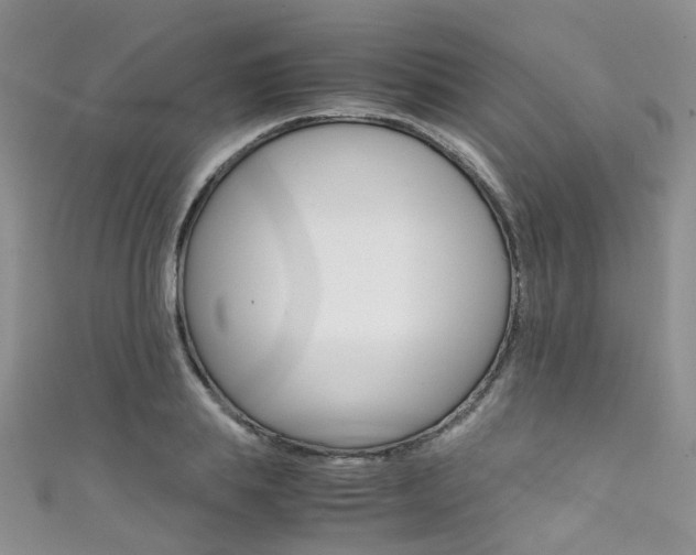X0000111370839200907101015