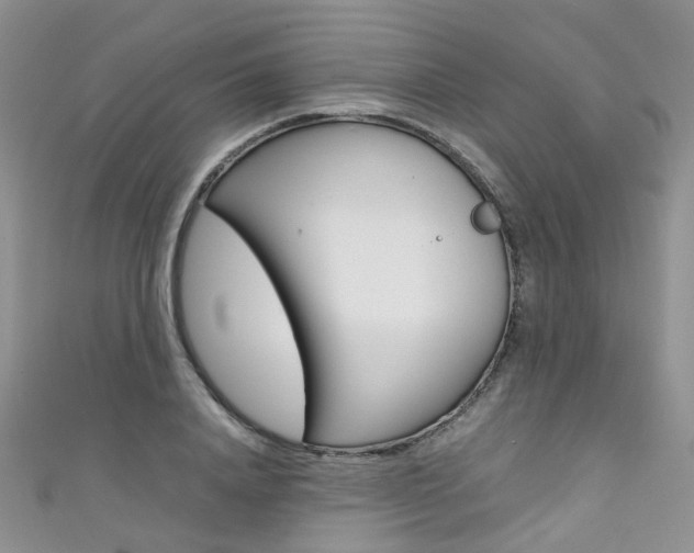 X0000111370840200907101015