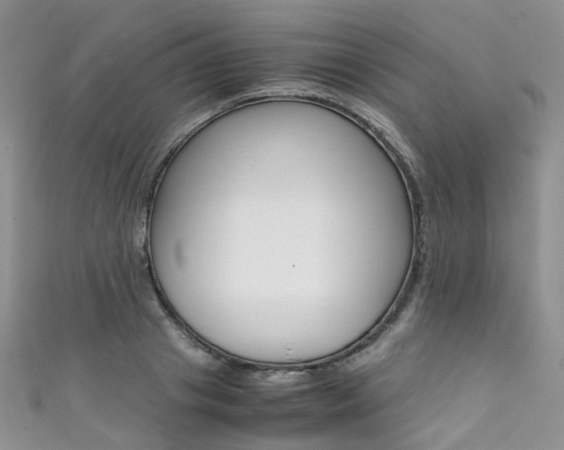 X0000111370841200907101015