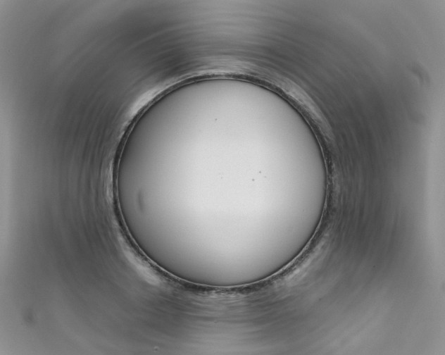 X0000111370842200907101015