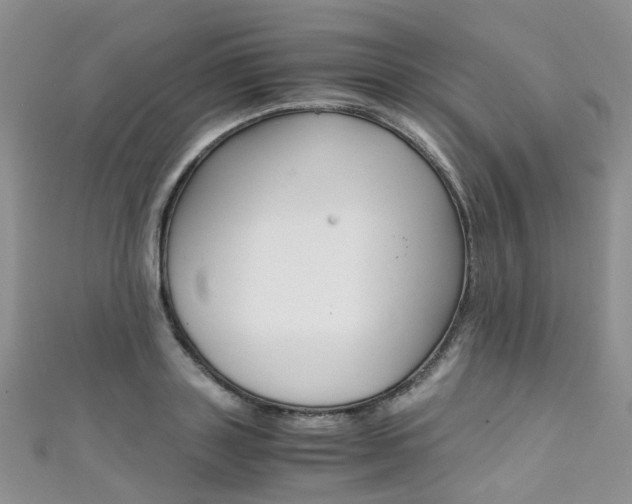 X0000111370843200907101015