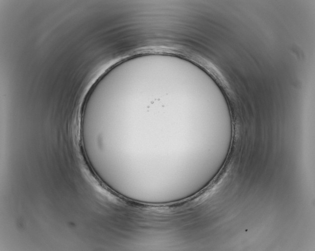 X0000111370844200907101015