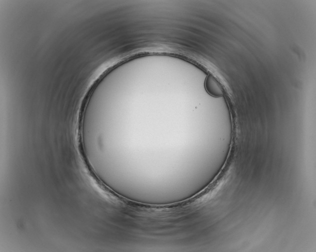 X0000111370845200907101015