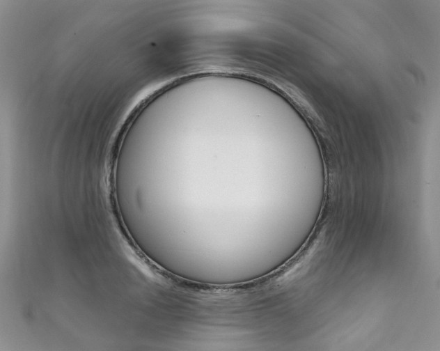 X0000111370846200907101015