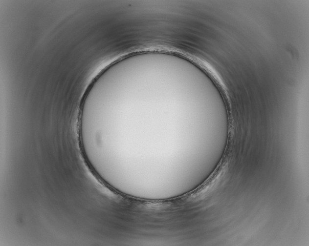 X0000111370847200907101015