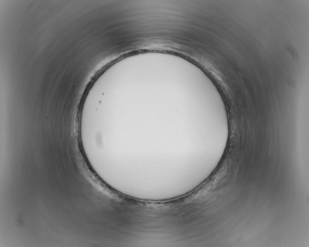X0000111370848200907101015