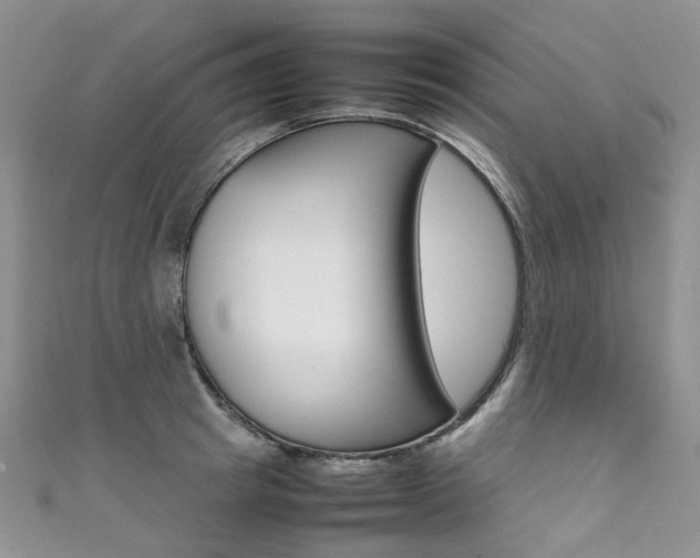 X0000111370849200907101015