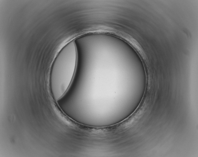 X0000111370850200907101015