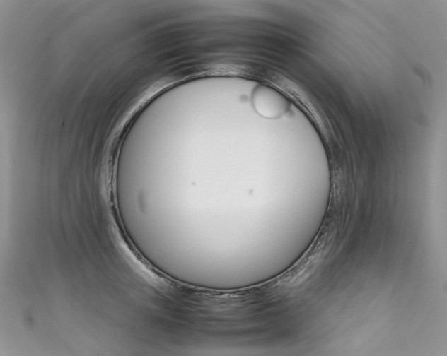 X0000111370851200907101015