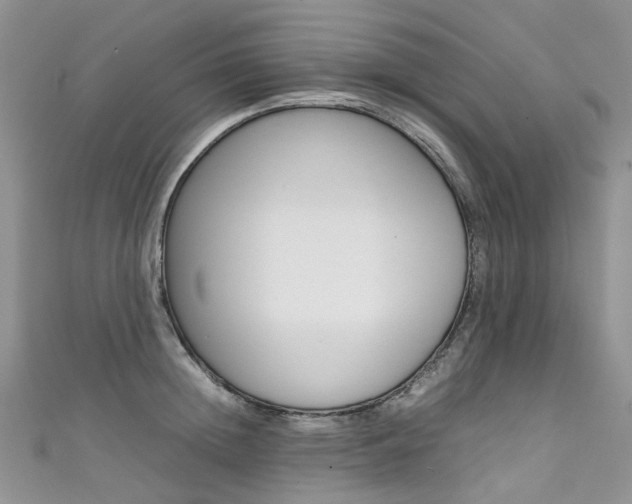 X0000111370852200907101015