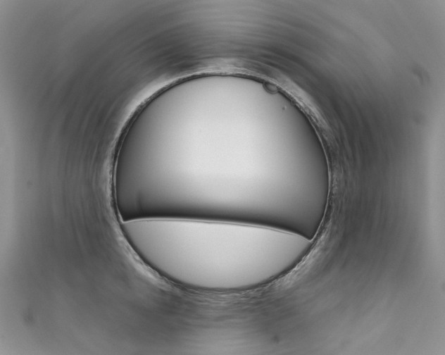 X0000111370854200907101015