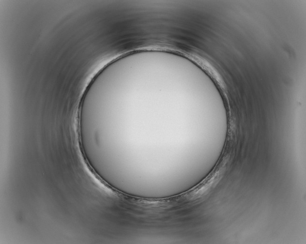 X0000111370855200907101015