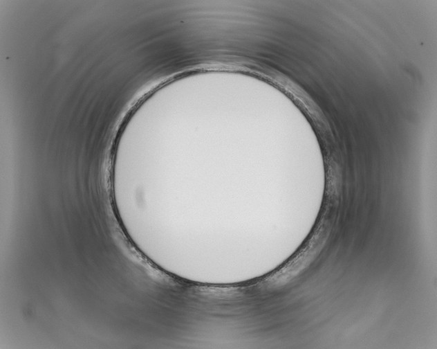 X0000111370856200907101015