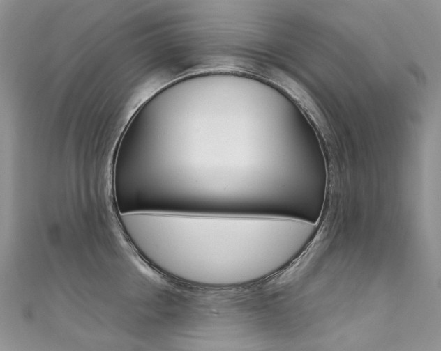 X0000111370858200907101015