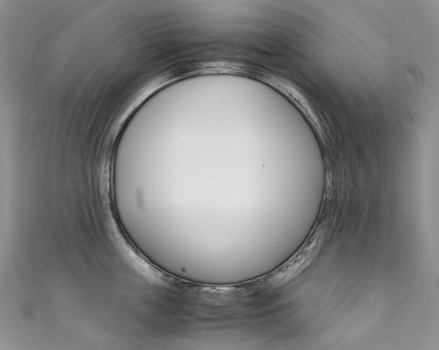 X0000111370859200907101015