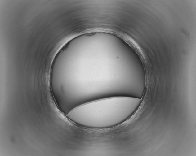 X0000111370860200907101015