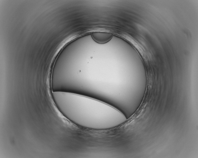 X0000111370861200907101015