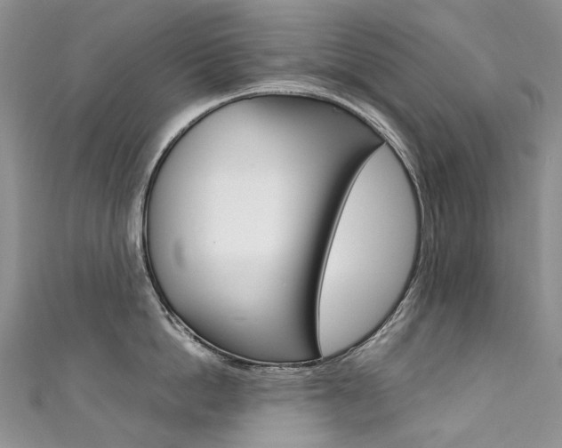 X0000111370862200907101015
