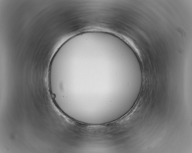 X0000111370863200907101015