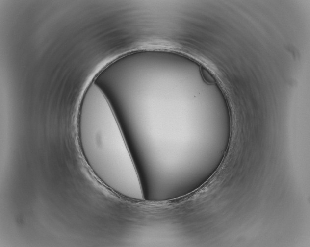 X0000111370864200907101015