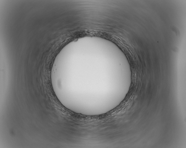 X0000111370865200907101015