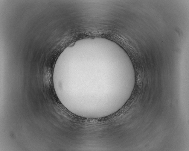 X0000111370866200907101015