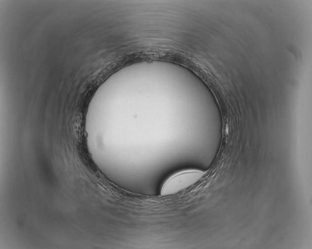 X0000111370867200907101015