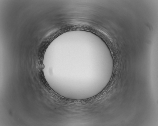 X0000111370869200907101015