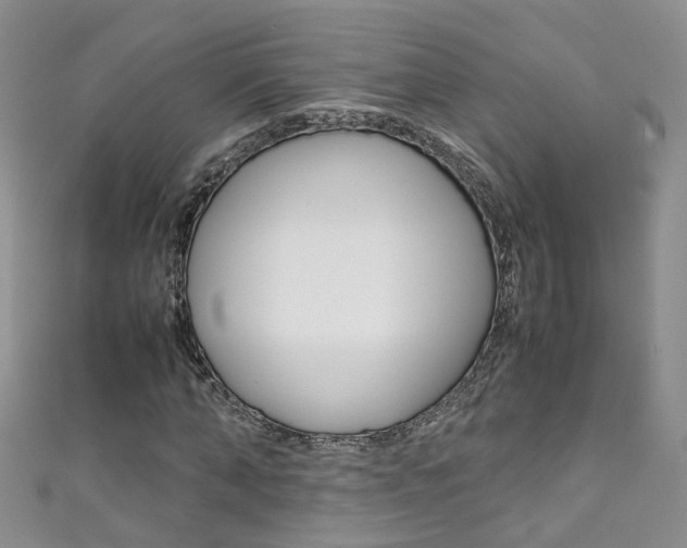 X0000111370870200907101015