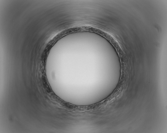 X0000111370871200907101015